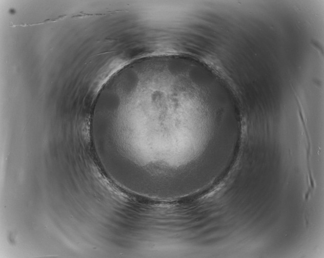 X0000103291409200808291323