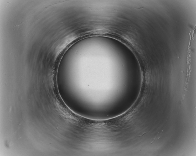 X0000103291410200808291323