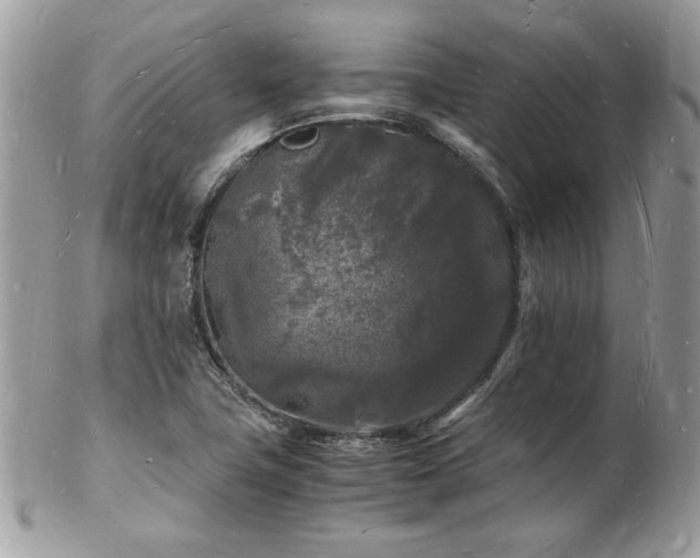 X0000103291411200808291323