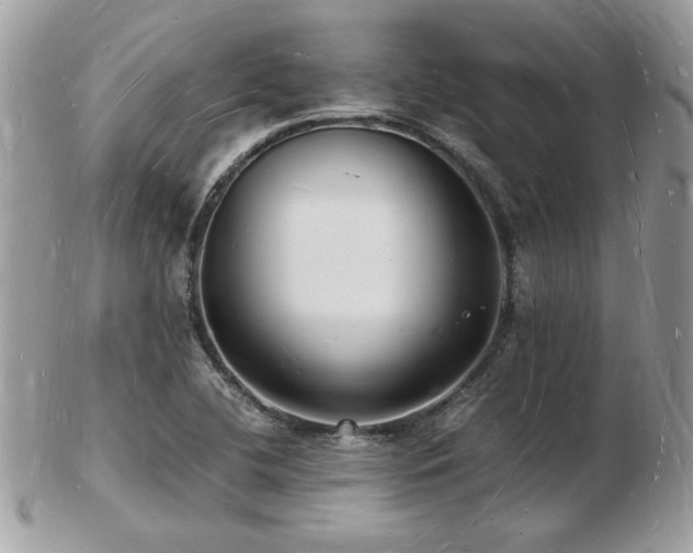 X0000103291412200808291323