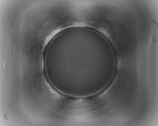 X0000103291414200808291323