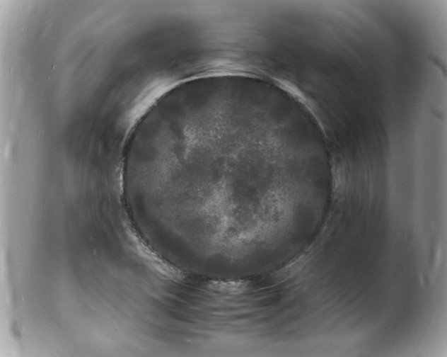 X0000103291415200808291323