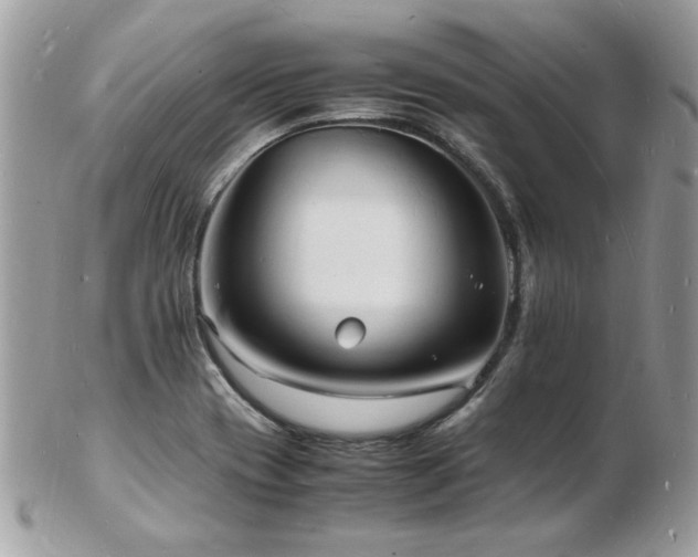 X0000103291417200808291323