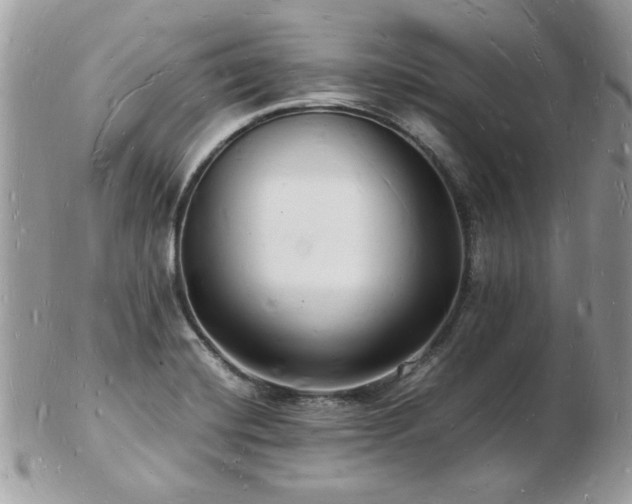 X0000103291420200808291323