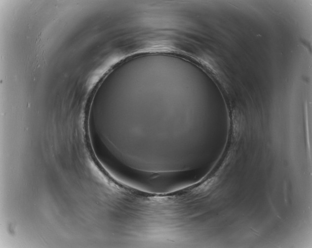 X0000103291422200808291323