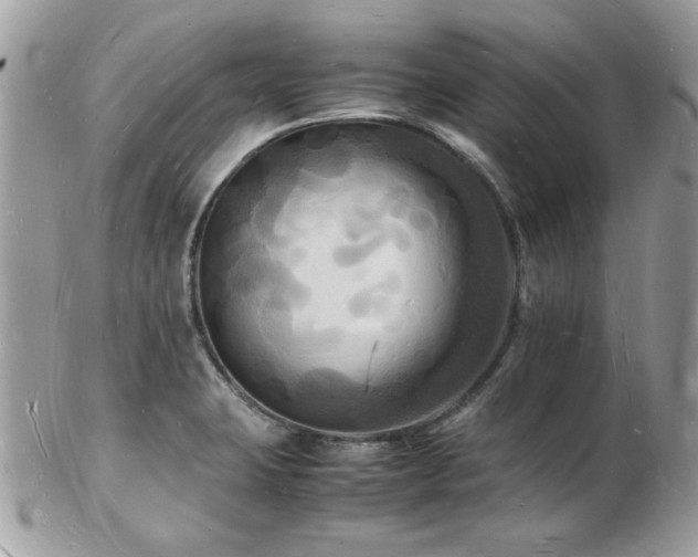 X0000103291423200808291323