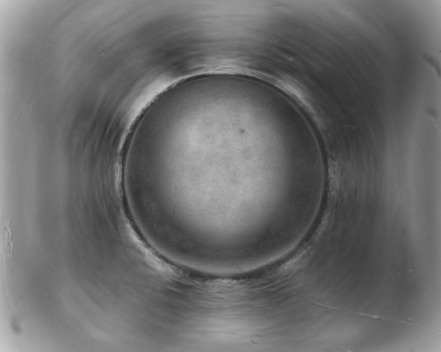 X0000103291424200808291323