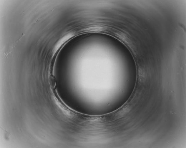 X0000103291426200808291323