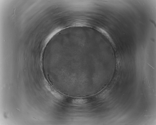 X0000103291427200808291323