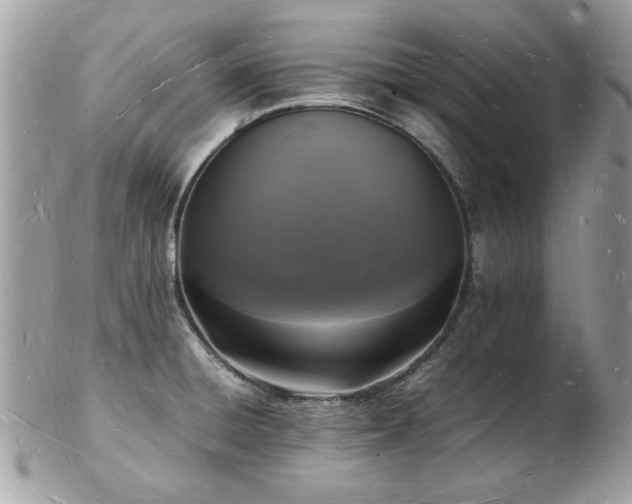 X0000103291428200808291323