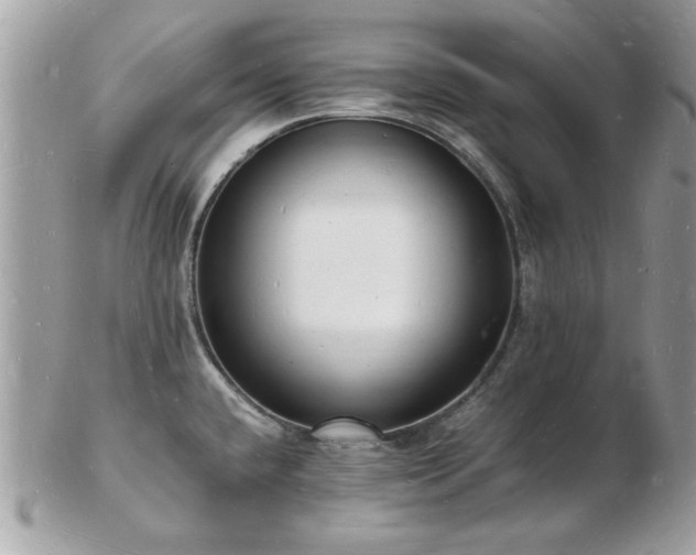 X0000103291432200808291323
