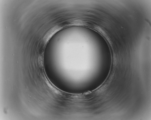 X0000103291433200808291323