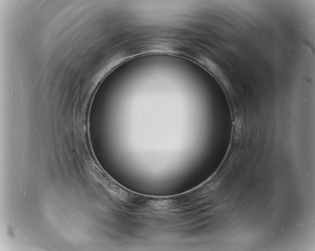 X0000103291435200808291323