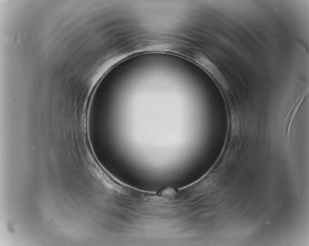 X0000103291436200808291323