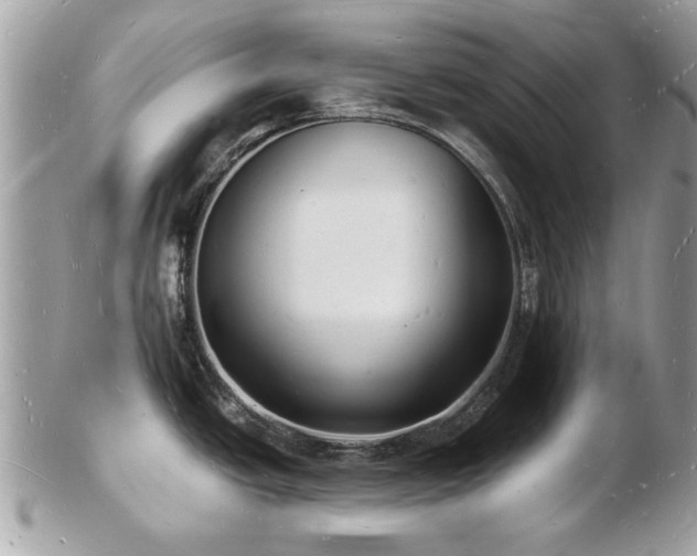 X0000103291438200808291323