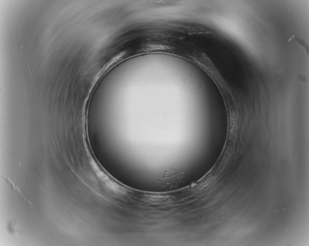 X0000103291439200808291323