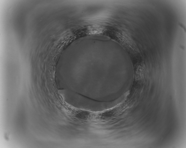 X0000103291441200808291323