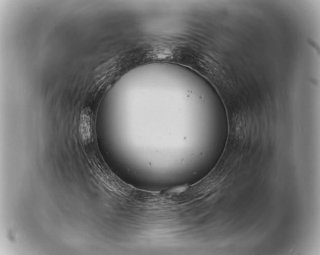 X0000103291442200808291323