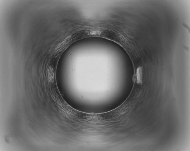 X0000103291443200808291323