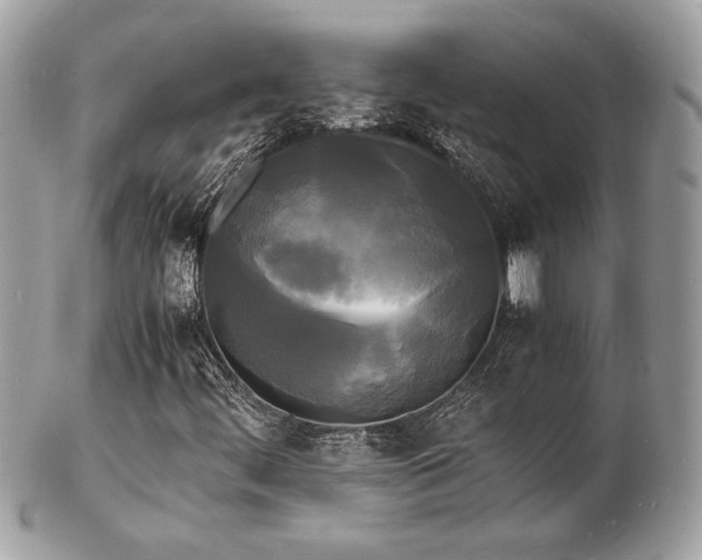X0000103291444200808291323