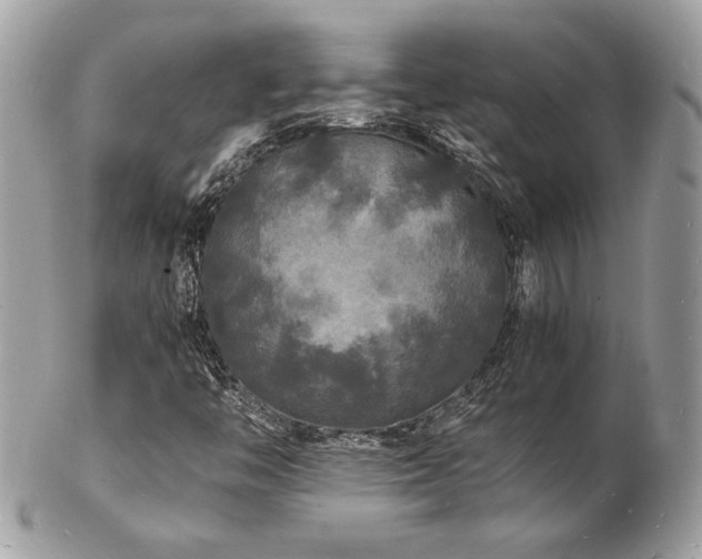 X0000103291446200808291323