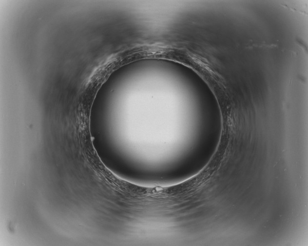 X0000103291447200808291323