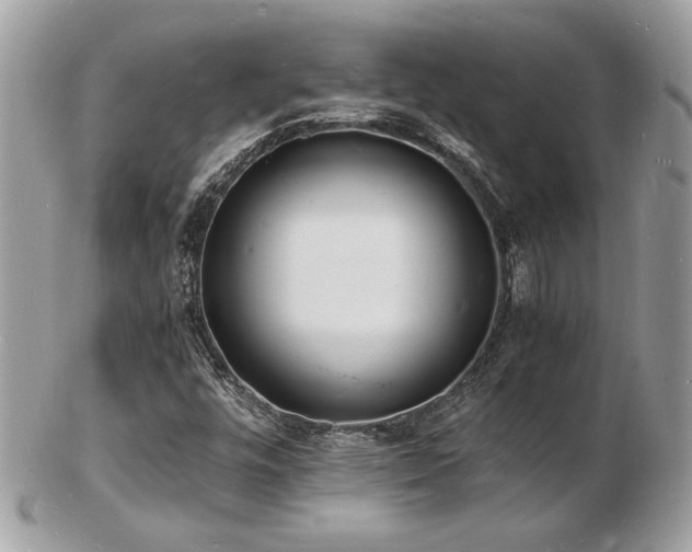 X0000103291448200808291323
