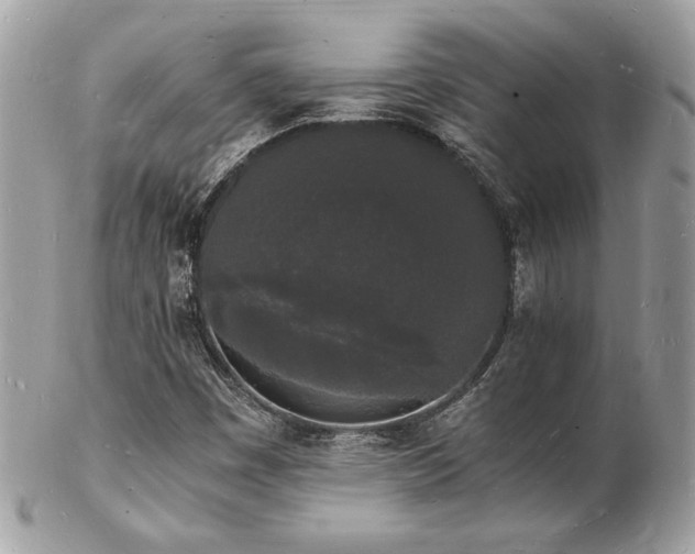 X0000103291449200808291323