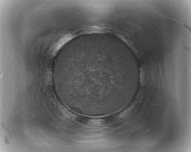 X0000103291453200808291323