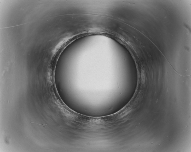 X0000103291454200808291323