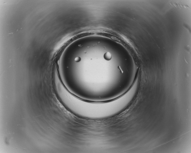 X0000103291456200808291323