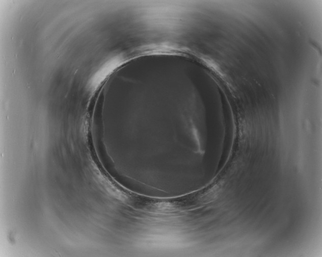 X0000103291463200808291323