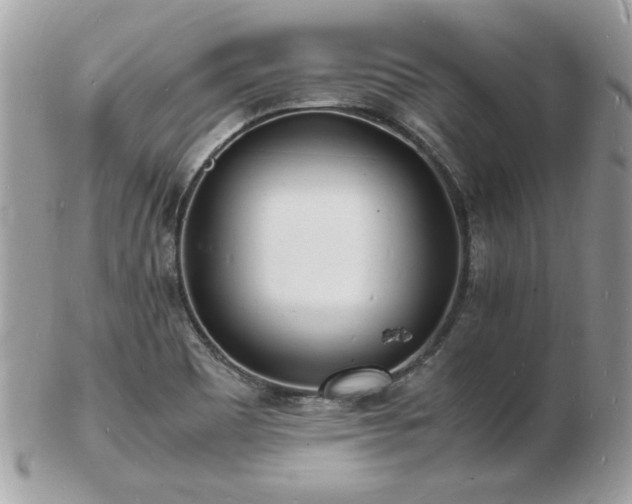 X0000103291465200808291322