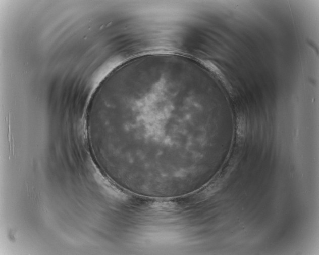 X0000103291466200808291322