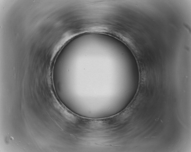 X0000103291470200808291322