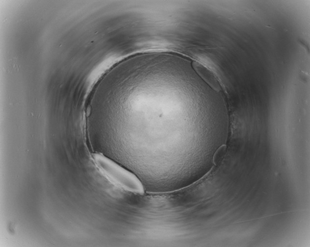X0000103291472200808291322