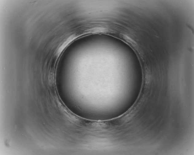 X0000103291473200808291322