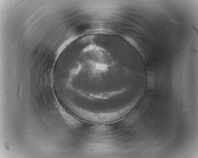X0000103291474200808291322