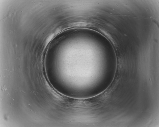 X0000103291475200808291322