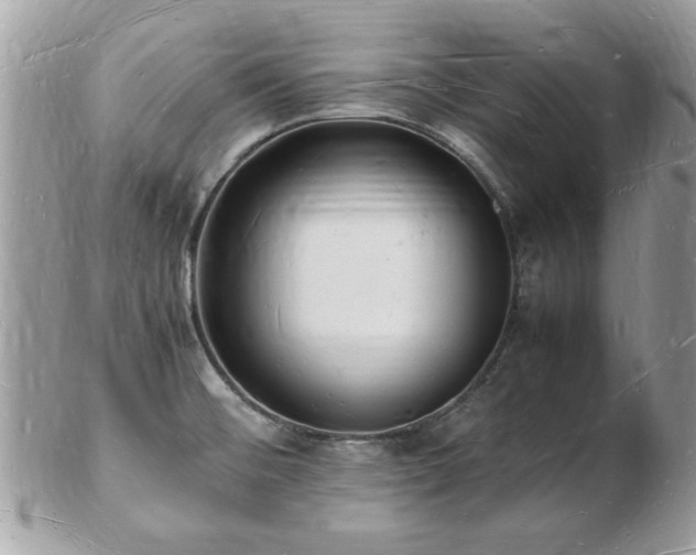 X0000103291476200808291322