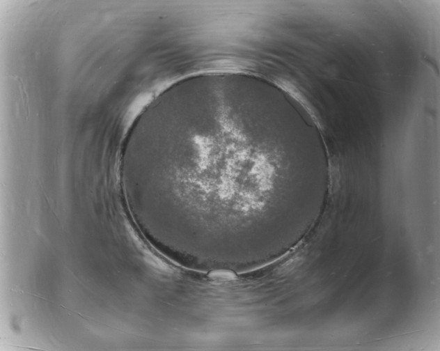 X0000103291477200808291322