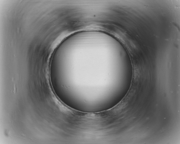X0000103291478200808291322