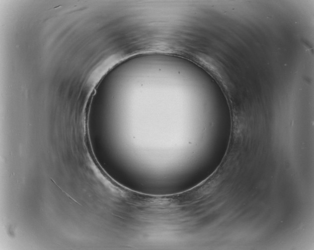X0000103291479200808291322