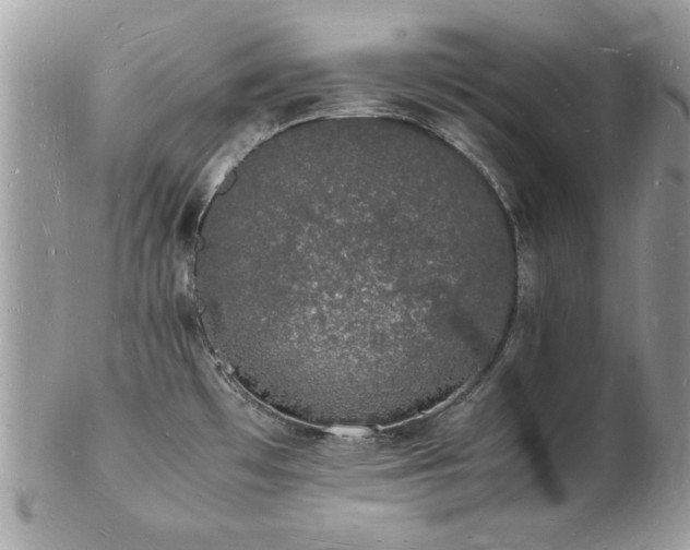 X0000103291481200808291322