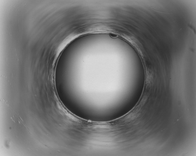 X0000103291486200808291322