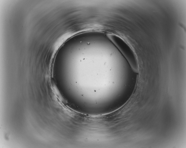 X0000103291488200808291322
