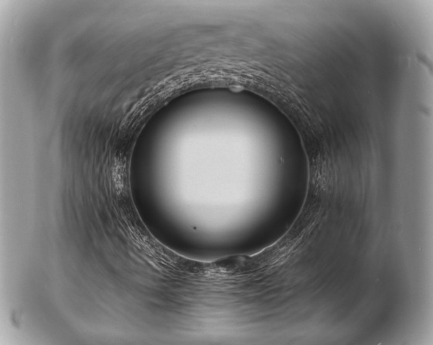 X0000103291490200808291322