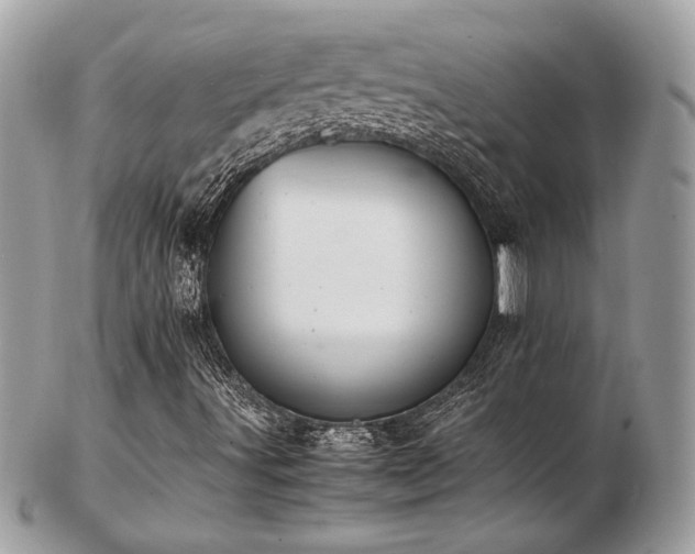 X0000103291491200808291322