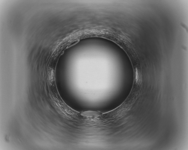 X0000103291492200808291322