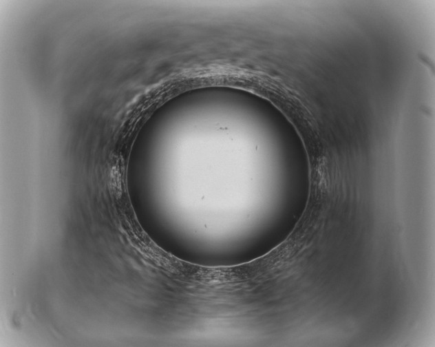 X0000103291493200808291322